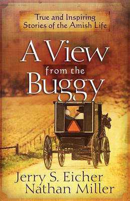 Book cover for A View from the Buggy