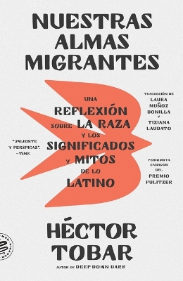 Book cover for Nuestras Almas Migrantes (Our Migrant Souls - Spanish Edition)