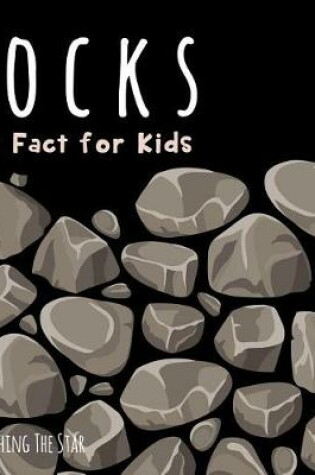Cover of Rocks Fun Fact for Kids