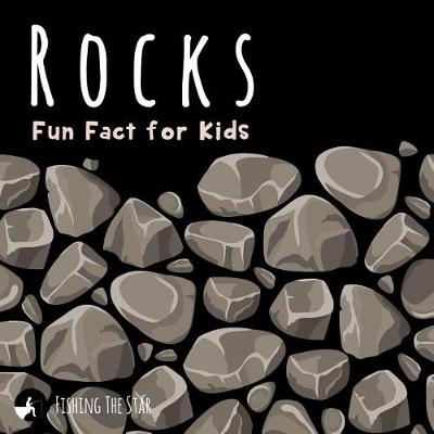 Book cover for Rocks Fun Fact for Kids