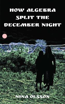 Book cover for How Algebra Split the December Night