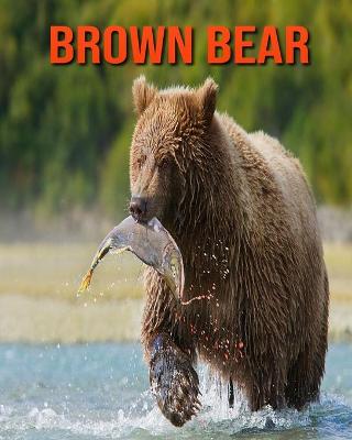 Book cover for Brown Bear