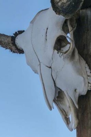 Cover of Steer Skull on a Pole in the Old West