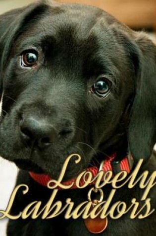 Cover of Lovely Labradors