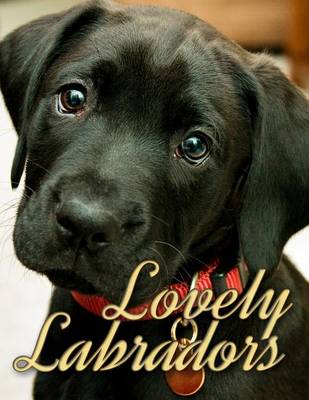 Book cover for Lovely Labradors