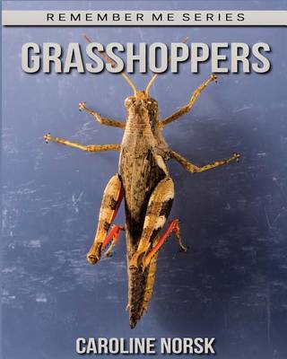 Book cover for Grasshoppers