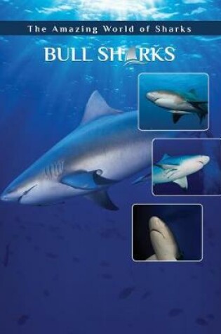 Cover of Bull Sharks