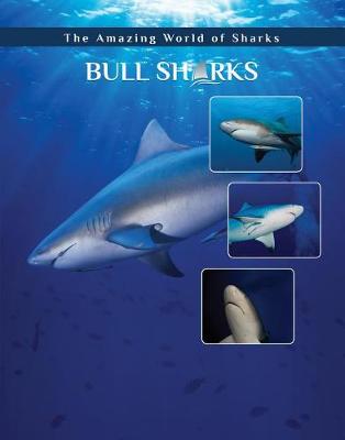 Book cover for Bull Sharks