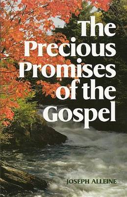 Book cover for The Precious Promises of the Gospel