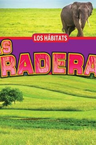 Cover of Las Praderas