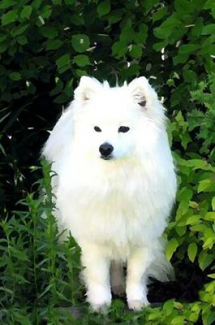 Cover of American Eskimo Dog