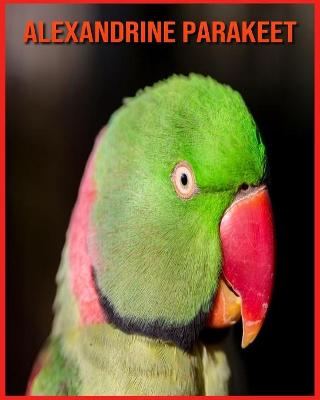 Book cover for Alexandrine Parakeet