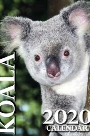 Cover of Koala 2020 Calendar