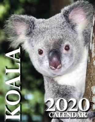 Book cover for Koala 2020 Calendar