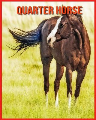 Book cover for Quarter Horse