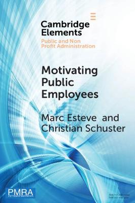 Book cover for Motivating Public Employees