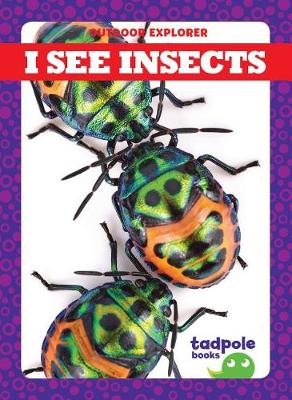 Book cover for I See Insects