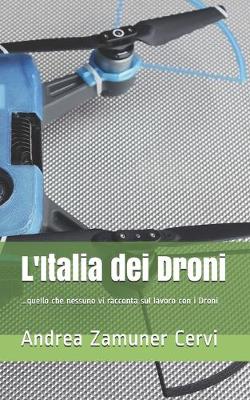 Book cover for L'Italia dei Droni