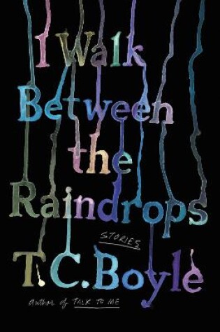 Cover of I Walk Between the Raindrops