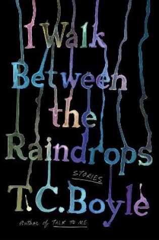 Cover of I Walk Between the Raindrops