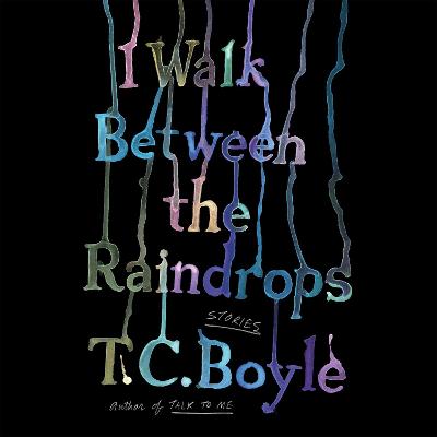 Book cover for I Walk Between the Raindrops
