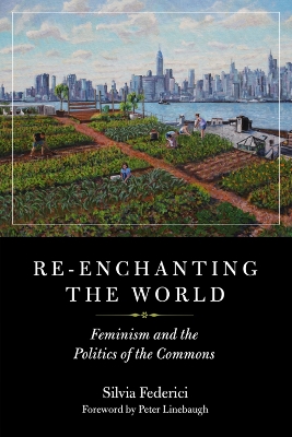 Book cover for Re-enchanting The World