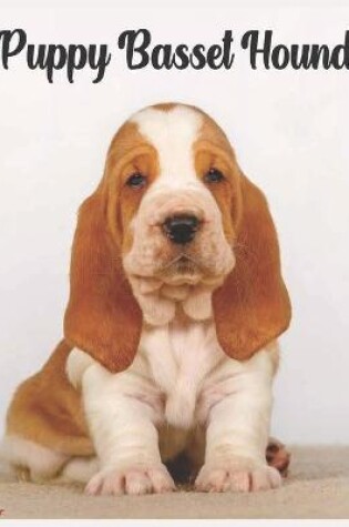 Cover of Basset Hound Puppy 2022 Calendar