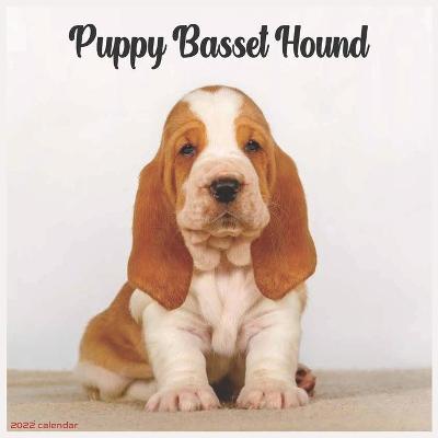 Book cover for Basset Hound Puppy 2022 Calendar