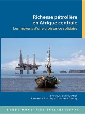 Book cover for Oil Wealth in Central Africa