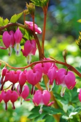 Cover of Bleeding Heart Pink Flowers in a Spring Garden Journal