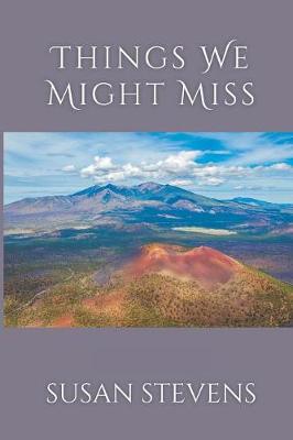Book cover for Things We Might Miss