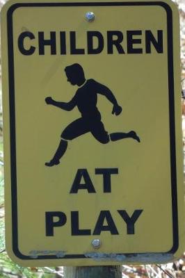 Book cover for Children at Play Road Sign Journal