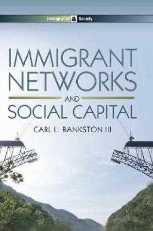 Cover of Immigrant Networks and Social Capital