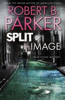 Book cover for Split Image