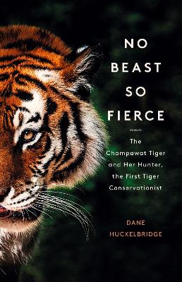 Book cover for No Beast So Fierce