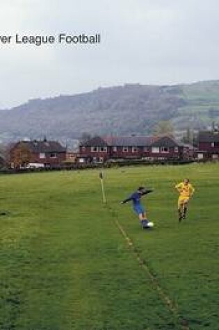 Cover of European Fields: Landscape of Lower League Football