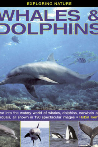 Cover of Exploring Nature: Whales & Dolphins