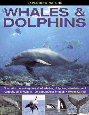 Book cover for Exploring Nature: Whales & Dolphins