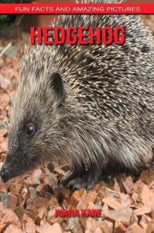 Cover of Hedgehog