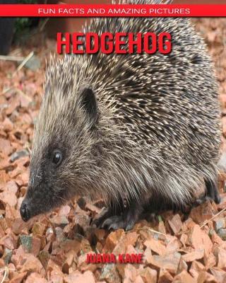 Book cover for Hedgehog