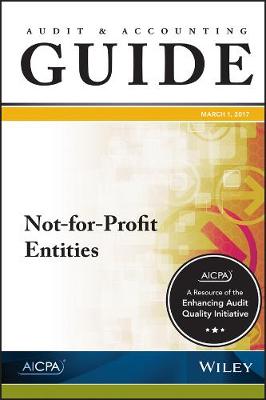 Cover of Auditing and Accounting Guide