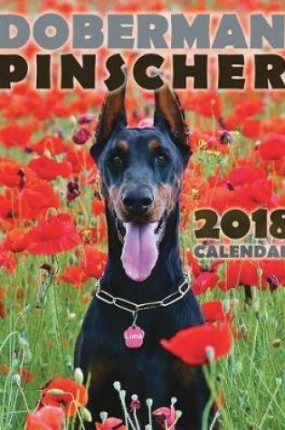 Cover of Doberman Pinscher 2018 Calendar