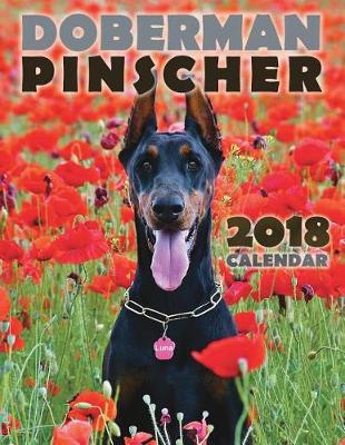 Book cover for Doberman Pinscher 2018 Calendar