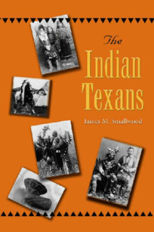 Cover of The Indian Texans