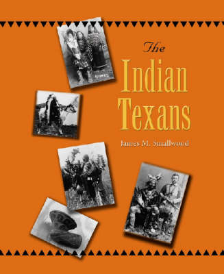 Book cover for The Indian Texans