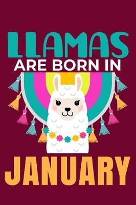 Book cover for Llamas Are Born in January