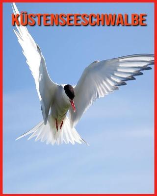 Book cover for Küstenseeschwalbe