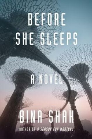 Cover of Before She Sleeps