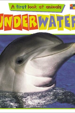 Cover of Underwater