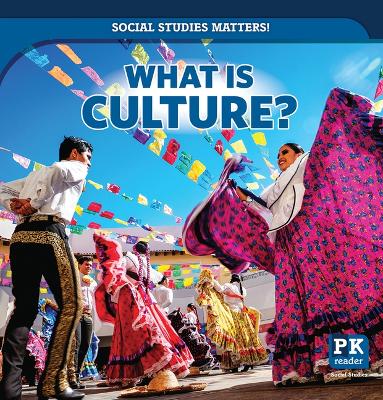Book cover for What Is Culture?